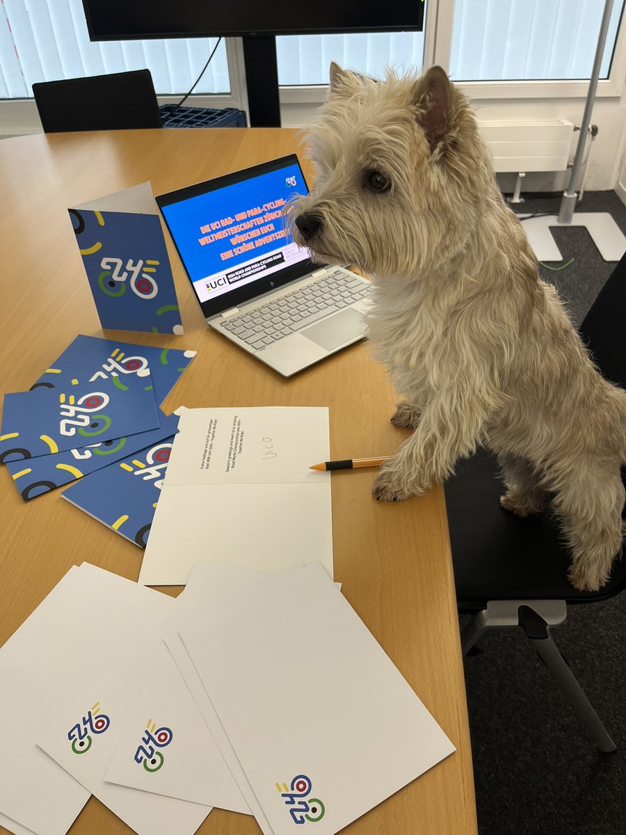 Who needs elves when you have a diligent four-legged friend to stamp each Christmas card with a cheerful woof? Our Chief Happiness Officer Vico has fully immersed himself in the holiday spirit & has appointed himself the head quality inspector of our Christmas mail. 🎄✉️