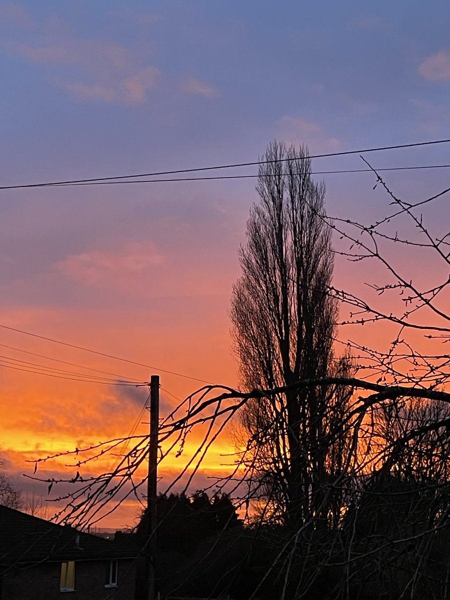 #treehenge 18 Dec 2023