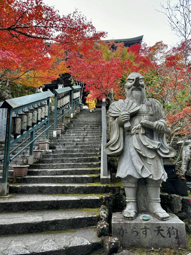 Japoneando tweet media