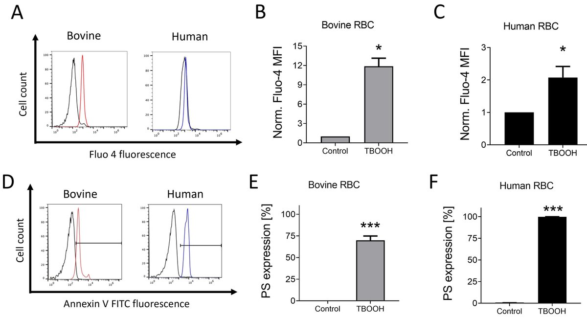 Landmark_IMR's tweet image. 📢#FBL-Vol. 28 No. 12
Original Research

Examination of Bovine Red Blood #Cell Death in Vitro in Response to #Pathophysiologic Proapoptotic Stimuli

✅ By Kennedy et al. 

🔔 Full Text: 

imrpress.com/journal/FBL/28…

 #bioscience #CellBiology #MolecularBiology