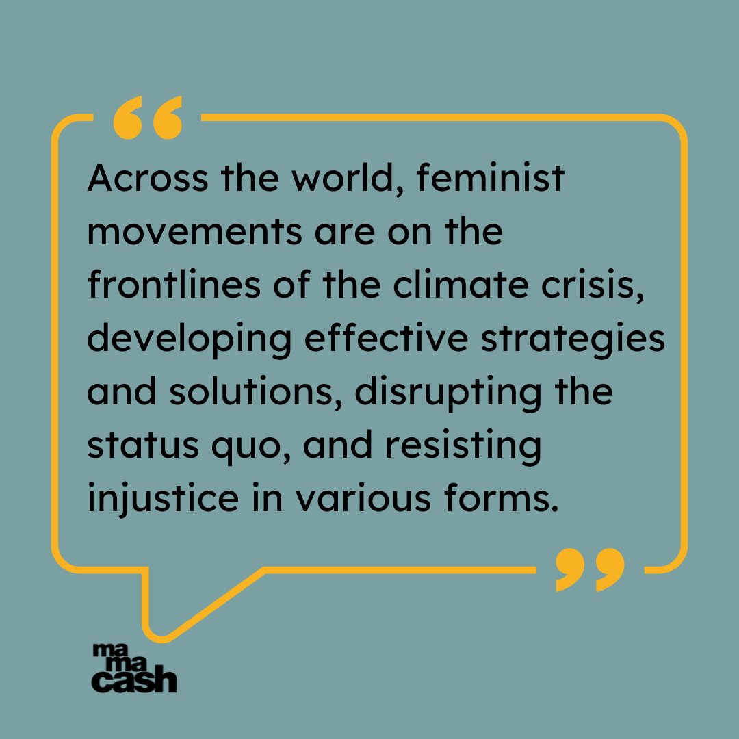 Across the world, #Feminist movements are on the frontlines of the #ClimateCrisis , developing effective strategies and solutions, disrupting the status quo, and resisting #injustice in various forms. Our new brief sets out seven tangible actions to advance gender and climate…