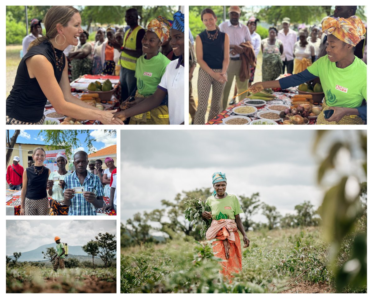 O projecto da #USAID de “Apoio às Mulheres Agricultoras em Angola” já beneficiou 6.000 mulheres com acesso às melhores práticas e competências agrícolas de forma aumentar as suas produtividade, na legalização da terra, alfabetização, e na atribuição de bilhetes de identidade.