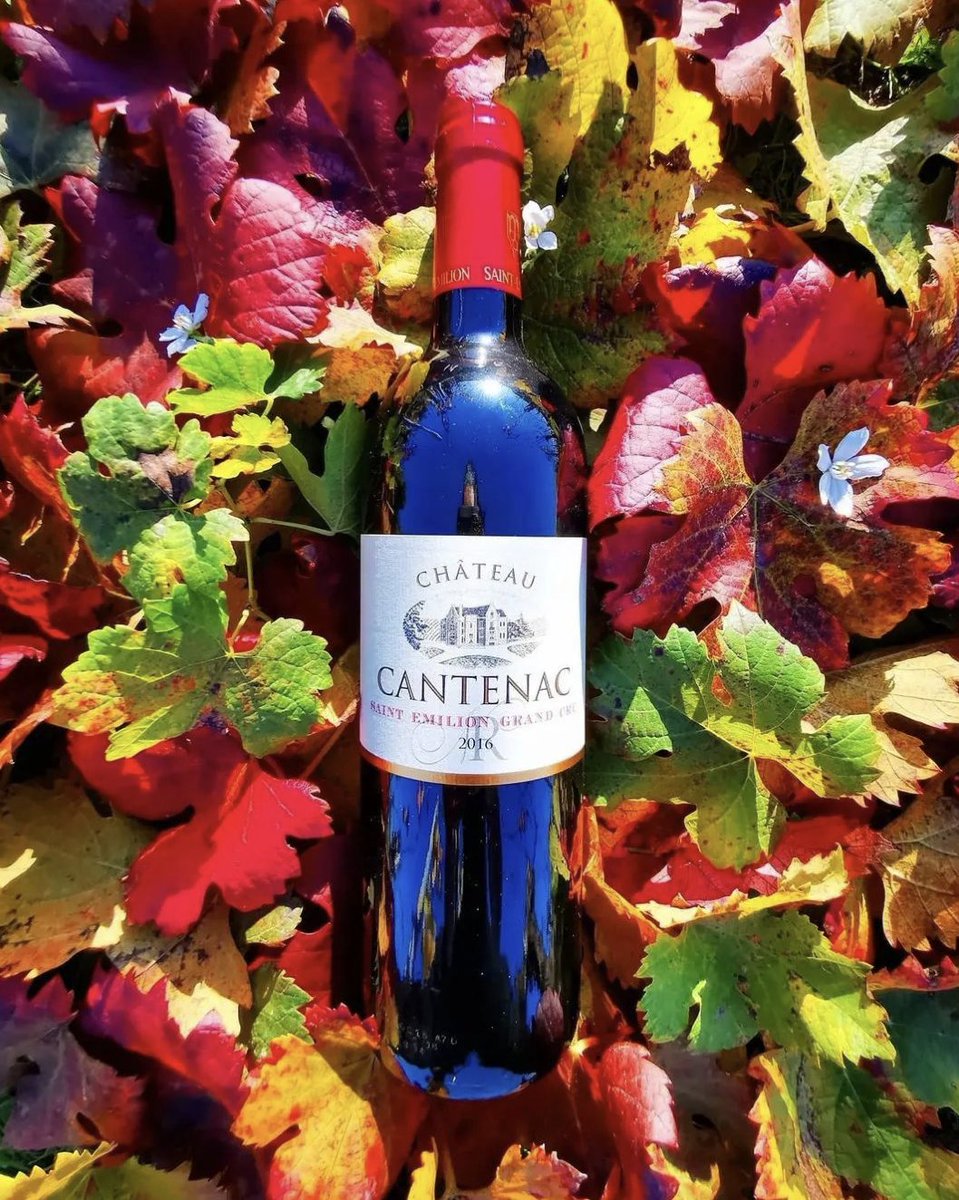 We’re so impressed with @ChateauCantenac Christmas wreath made with corks from its Saint Emilion Grand Cru Classic🍷 . With its elegant aromas of ripe fruit & fine spices, perfectly blended with notes of toasted oak, Saint Emilion Grand Cru Classic has been crafted to enchant.