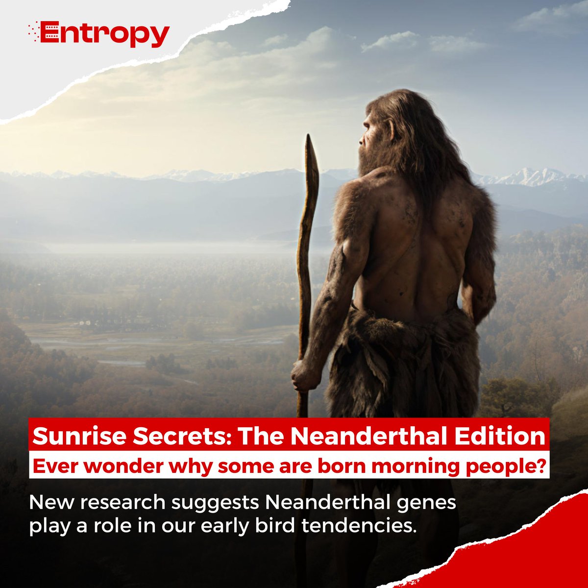 Did you know Neanderthal genes might make you an early riser? 
A recent study found that genetic material from our ancient relatives increases the 'morningness' trait, making some of us naturally inclined to wake up early.⏰🧬
#neanderthals #sleeproutine #biologyfacts #EVOLution