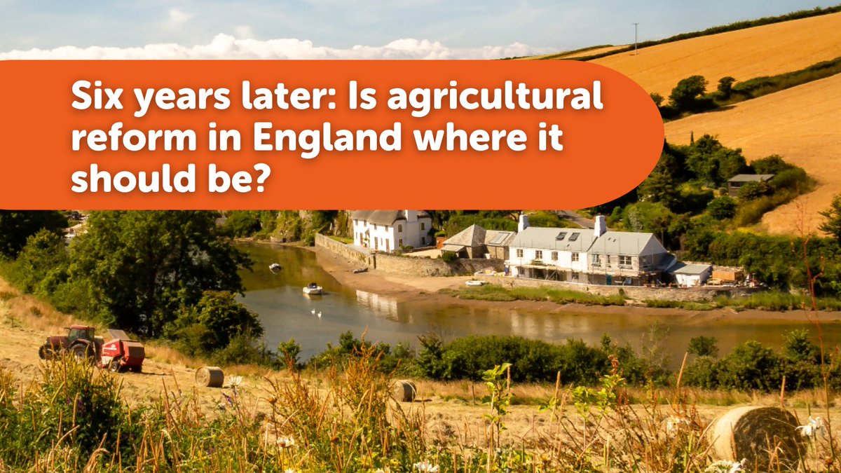 Piecemeal announcements, short-termism & drop changes have undermined farmers' trust & confidence. With an updated Agricultural Transition Plan expected soon, Defra has an opportunity to get the farming transition back on track. Read our full story: nffn.org.uk/resources/engl…