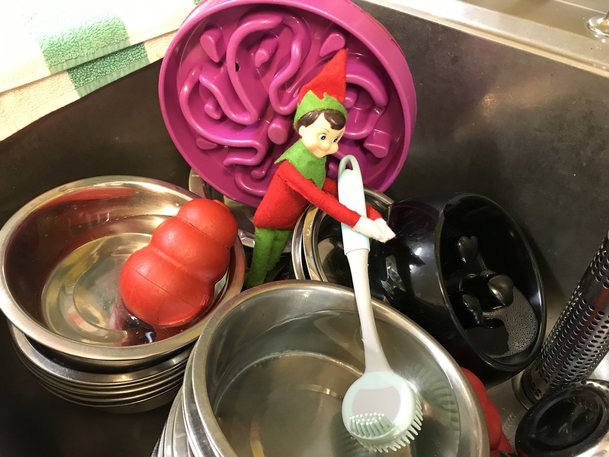 Elf, washing the breakfast bowls. We wonder if he's still around for after lunch and dinner! 💛🐶💛 #ElfOnTheShelf #ADogIsForLife