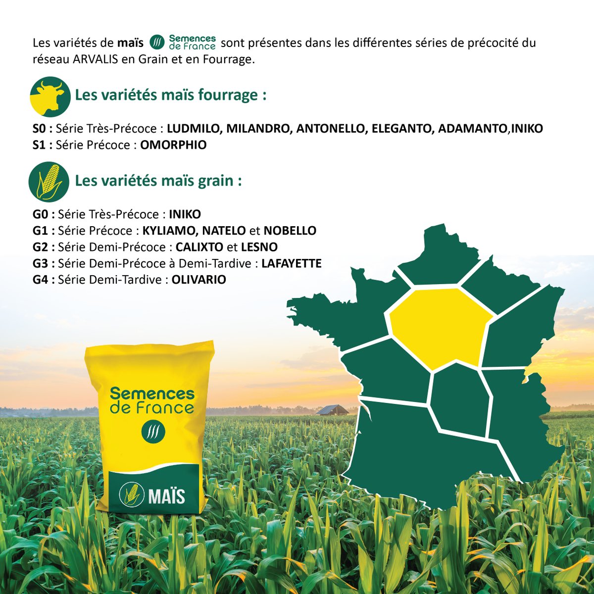 Semences de France tweet media