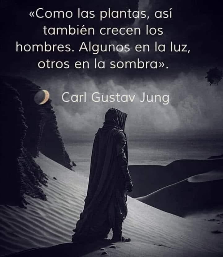 avanzandoacasa's tweet image. 