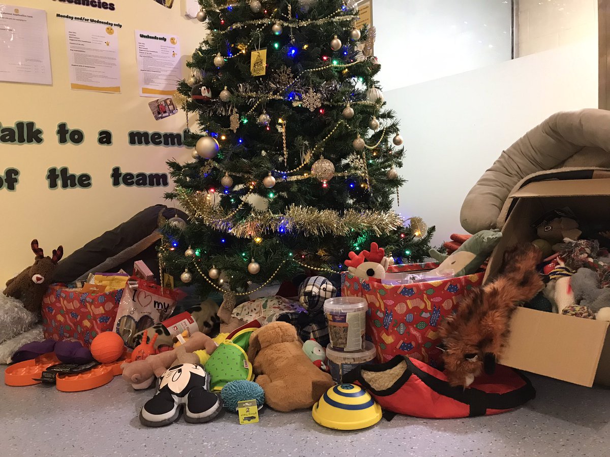 We’ve had a delivery 🚚 📦 . Thank you to everyone that has donated toys, treats, blankets, beds, and toys. 💛 @DogsTrust #Ilfracombe 🐶 #ADogIsForLife #RescueDogs 🐾