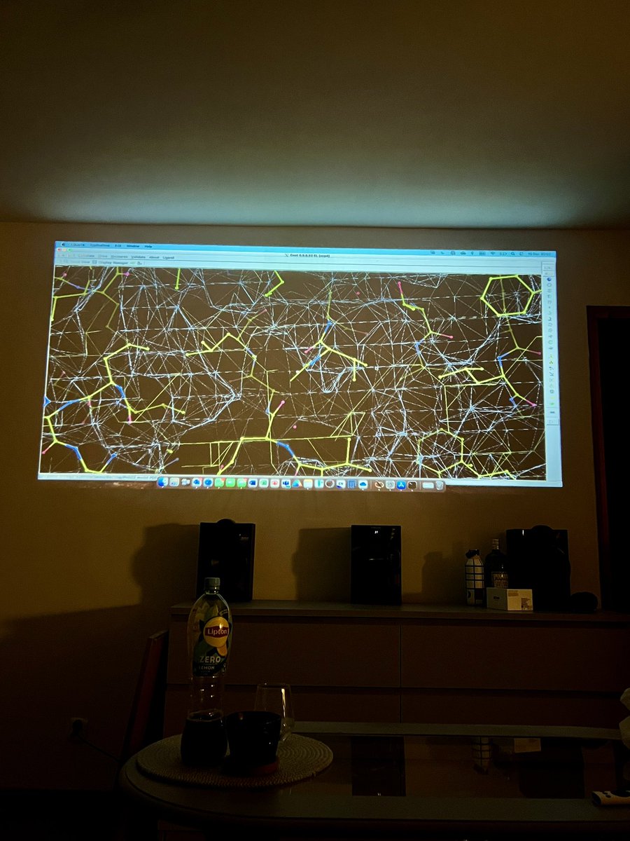 Back home for Christmas! 
Believe it or not but my family is not too happy with me occupying the projector for Cooting… 😅 #StructuralBiology #Coot