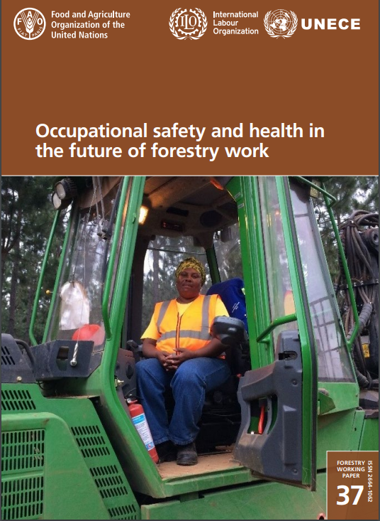 #DYK ❓More & more #migrants are joining the approx. 33 M forest workers worldwide🌳but migrant workers face poorer #safety protection than others On International #MigrantsDay, read @UNECE @FAO @ILO report on occupational safety & #health in the sectror▶️unece.org/sites/default/…