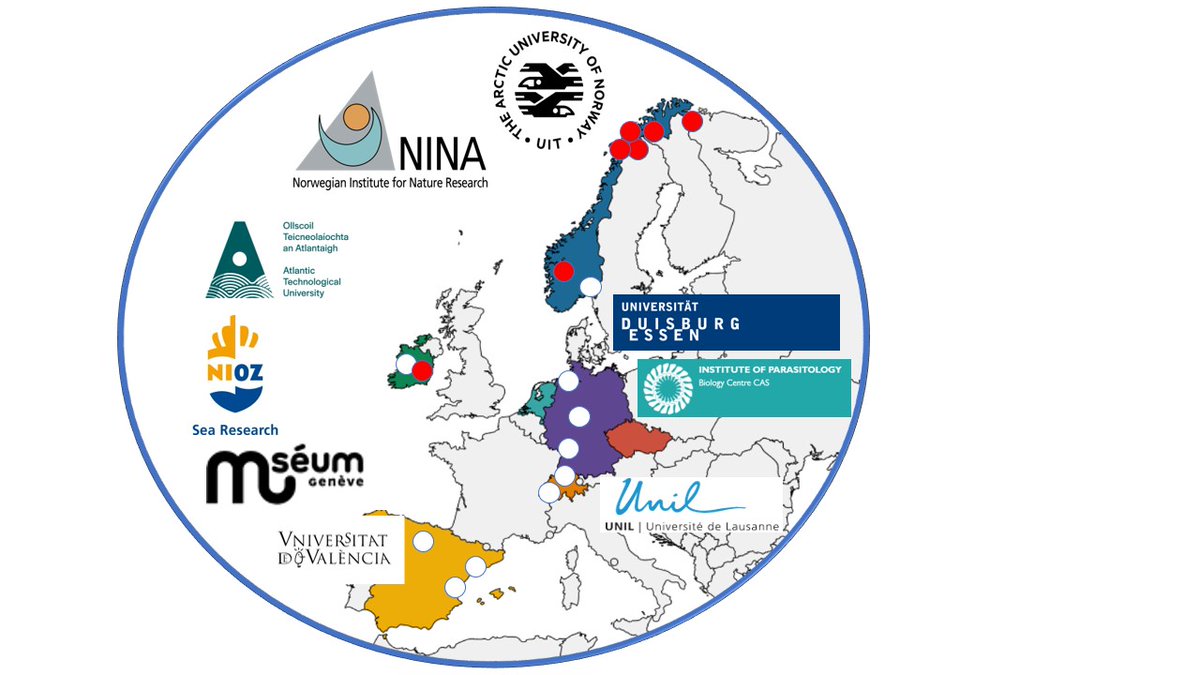 Do you have a background in numerical ecology, environmental science, biogeography and/or macroecology? Our team is looking for an enthusiastic postdoc who likes working with big datasets! Deadline: 3rd of January 2024 tinyurl.com/5fzxn8en