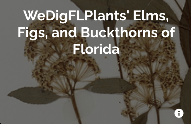 WeDigFLPlants tweet media
