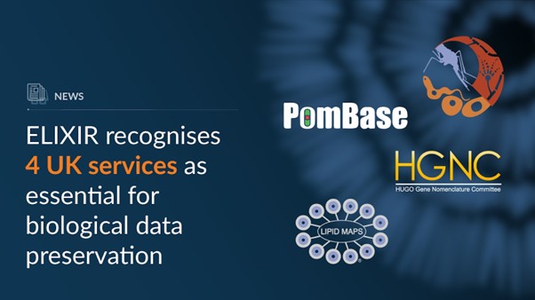 ElixirNodeUk's tweet image. 🌟Exciting News! 🌟 ELIXIR has just recognised four ELIXIR-UK services—HGNC, LIPID MAPS®, PomBase, and VEuPathDB—as Core Data Resources (CDRs)
Learn more about the potential impact of the new status:
elixiruknode.org/news/2023/4-uk…
#ELIXIRCDRs #LifeSciences #FAIRData  #BiologicalData