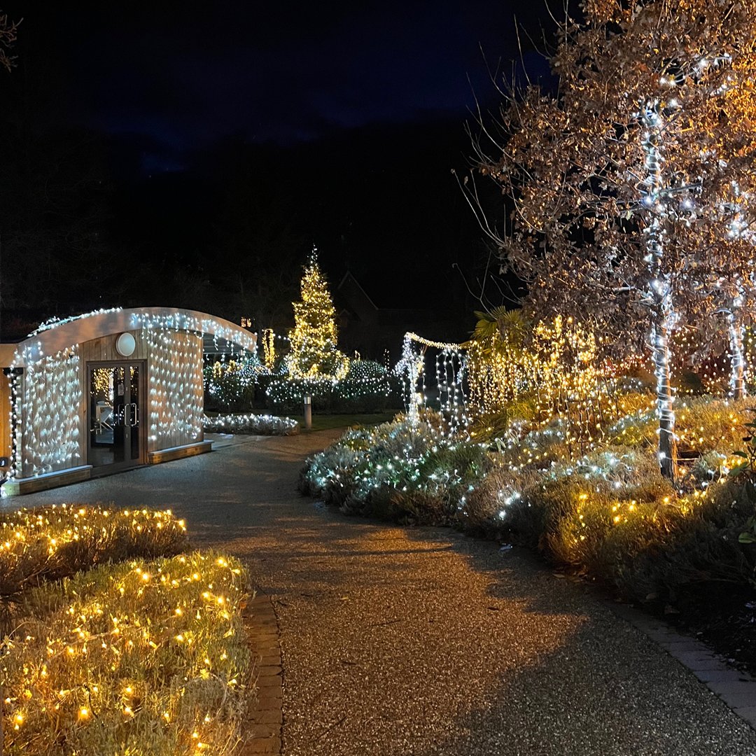 There's only a couple of days left until our rearranged #FestivalOfLight! For those that can still attend, please join us on Wednesday 20 December from 5:30pm for the much-anticipated Light Switch On ceremony, scheduled to begin at 6:00pm.🕯️#FoL23