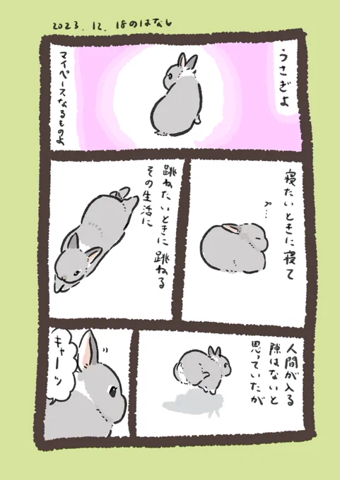 rabbit…は私の楽しそうな声を聞いて楽しくなってくれたんだな、と感じて、大変うれしかったです  パンは旨く焼けました  #うさぎのいる生活