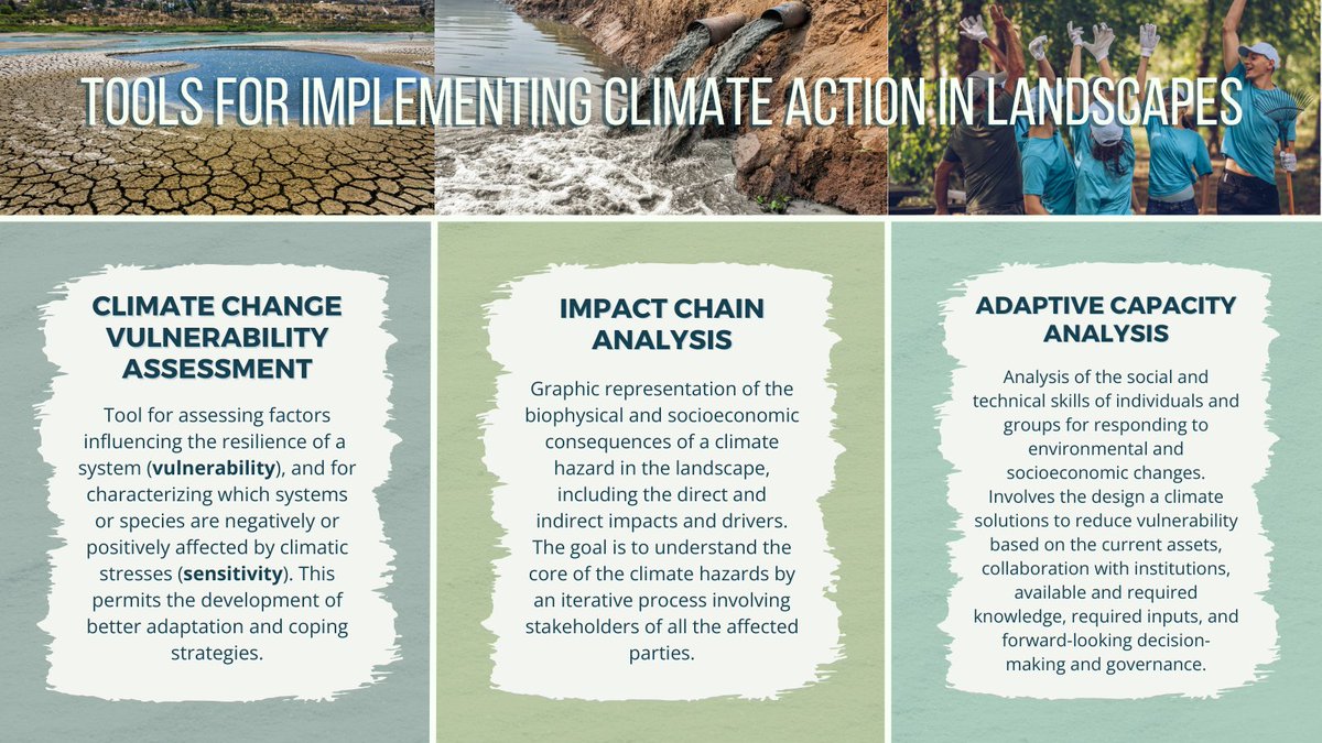 Insight from "Participatory Approaches in Development Goals" Patricia Gallo highlights the Landscape Approach's vital role in driving climate action at landscape level. These tools involve stakeholders from analysis to action, fostering inclusivity for holistic climate solutions.