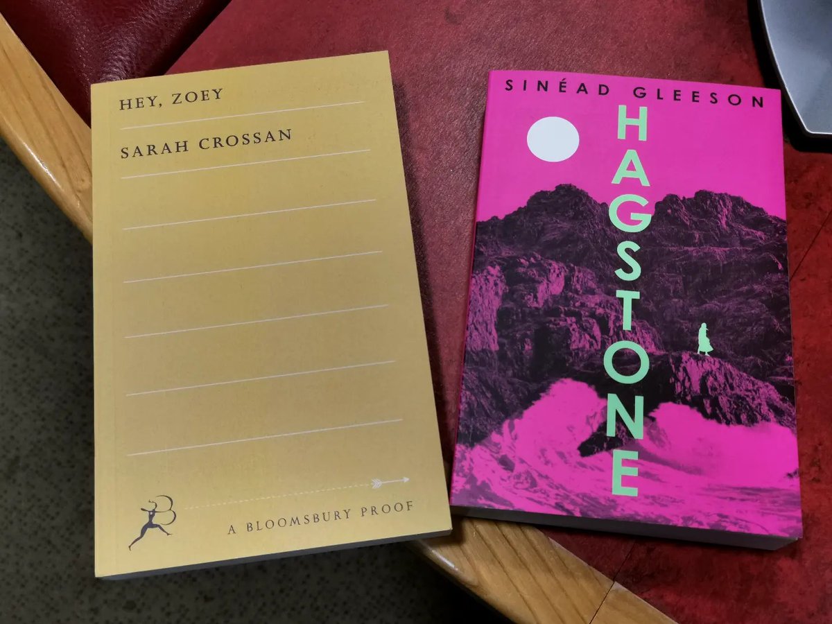 Probably the last post of 2023 has arrived, but it has two of the books of 2024 I have most been looking forward to... New @SarahCrossan and @sineadgleeson...