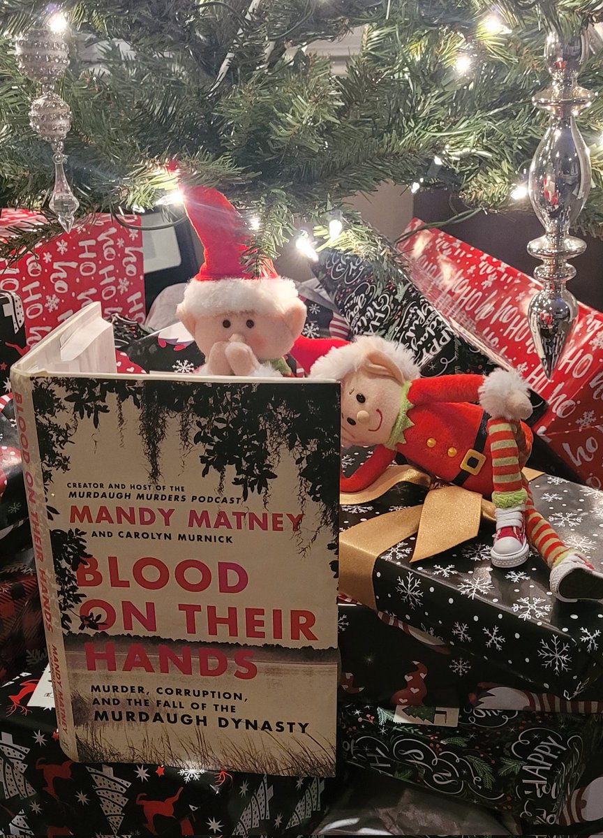 The elves took a night off from mischief for a great book under the tree 🤭🥰 🎄 #BloodOnTheirHands <a href="/MandyMatney/">Mandy Matney</a>