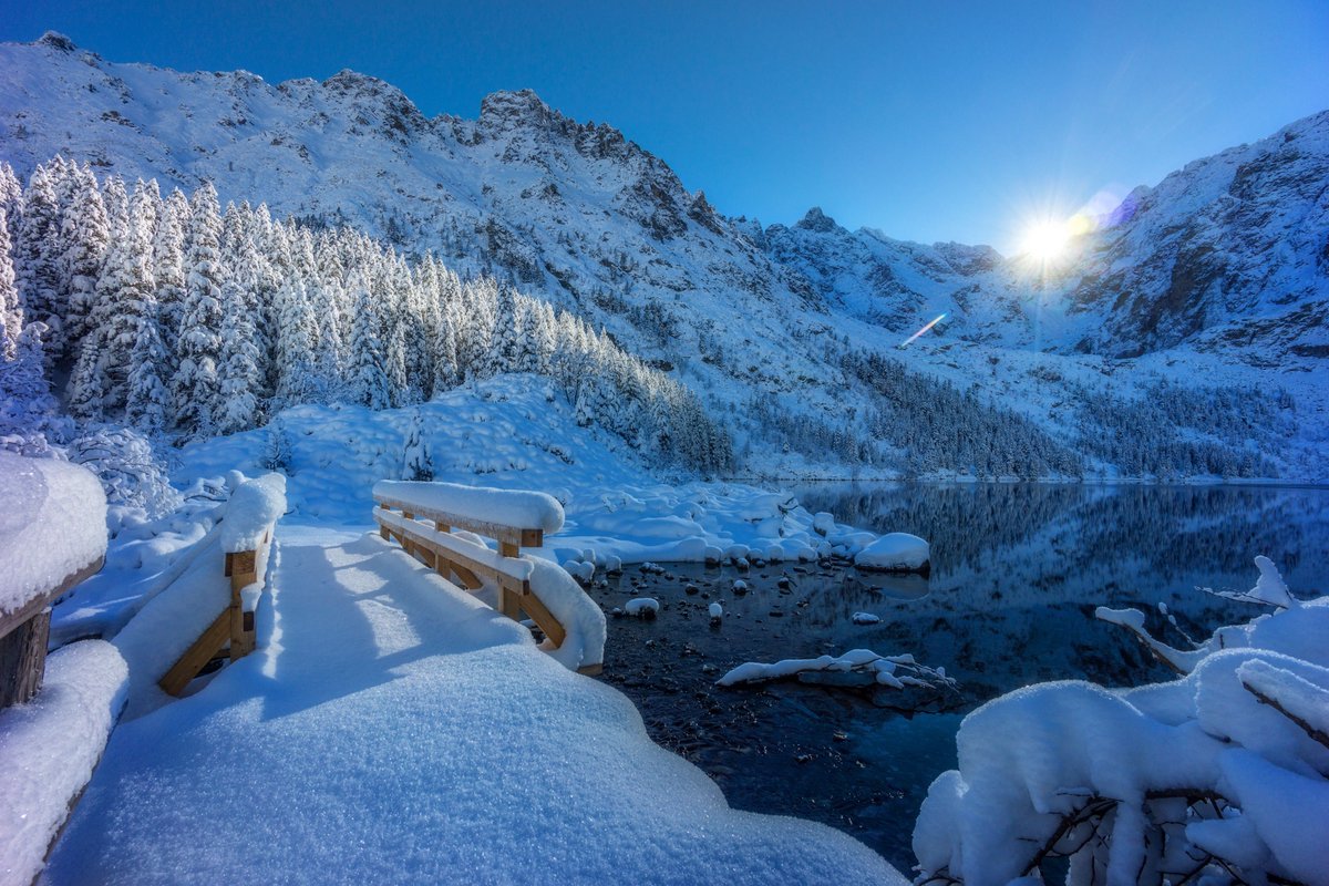 Poland Travel tweet media