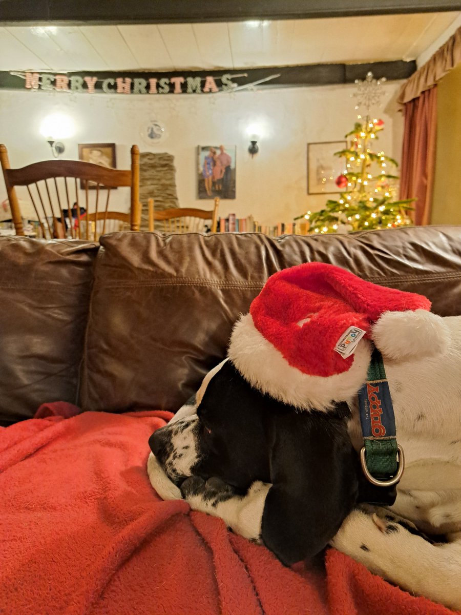 Grippy Leads tweet media