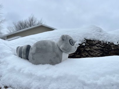 Lyss Menold tweet media