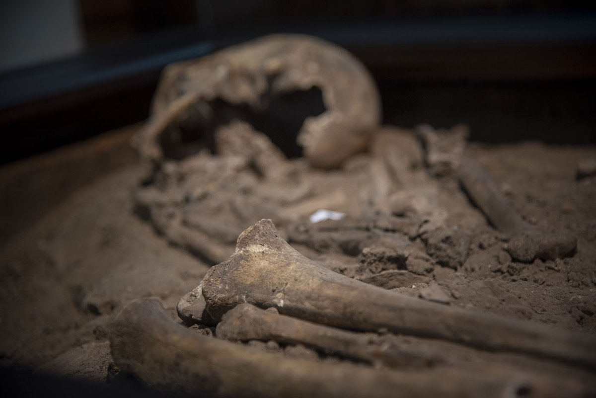 #AgenciaUNAL | Determinar la edad de restos arqueológicos: mayor precisión gracias a método físico. ¿Cómo es esto posible? 👉goo.su/OiU0DE #CienciayTecnologia