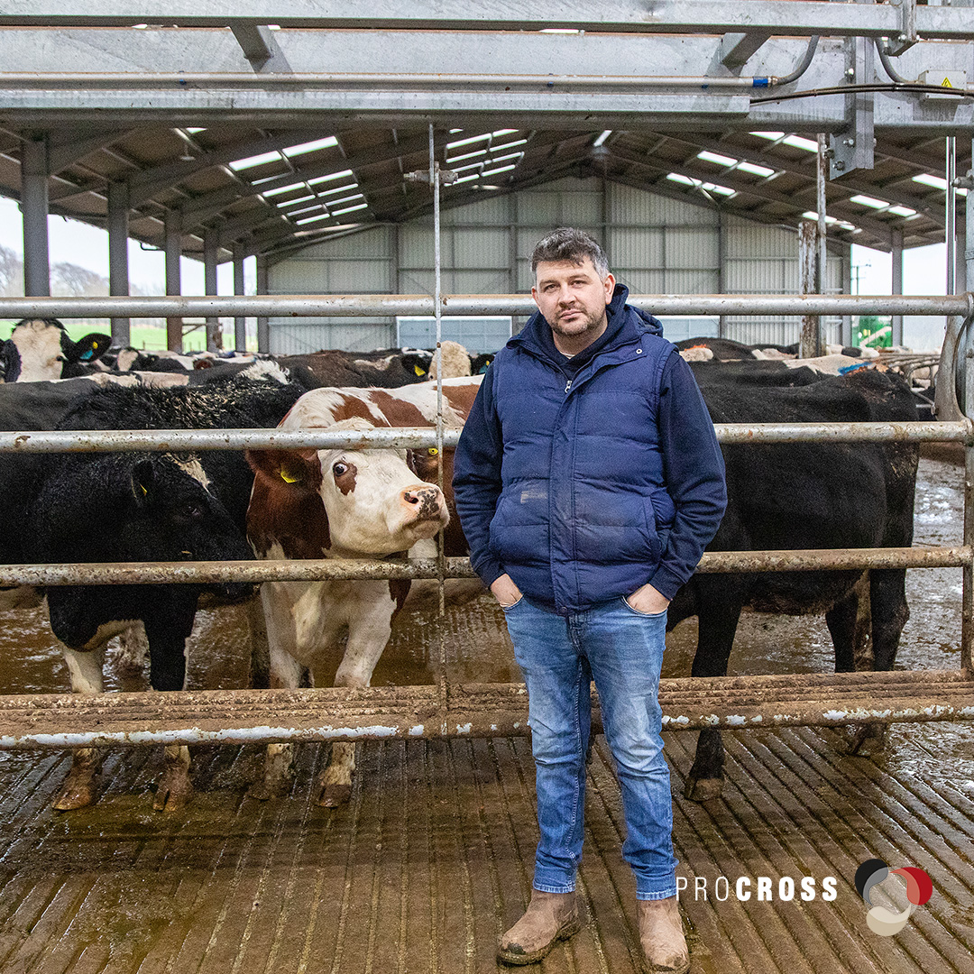 VikingGenetics tweet media