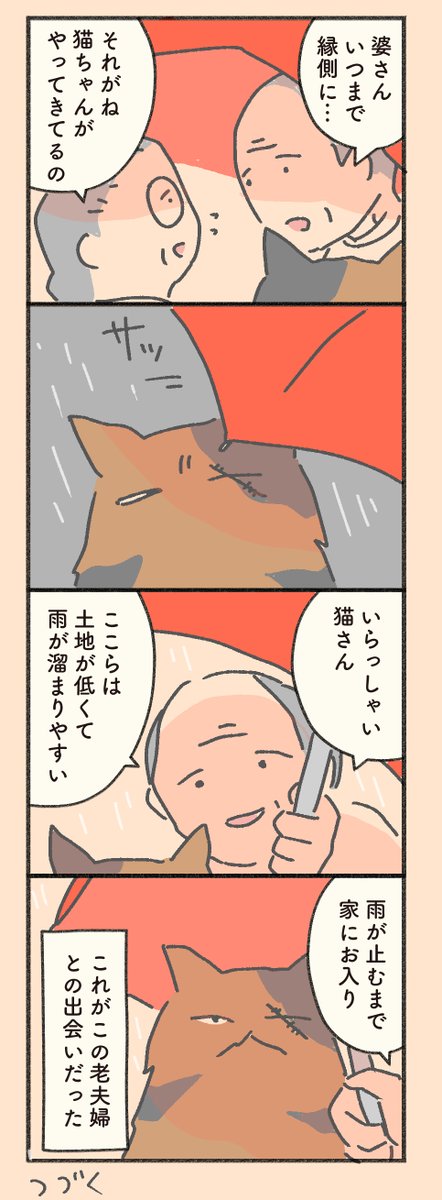 #もしも猫外伝 「菊次郎とふみ」その1 1日1ページ更新。