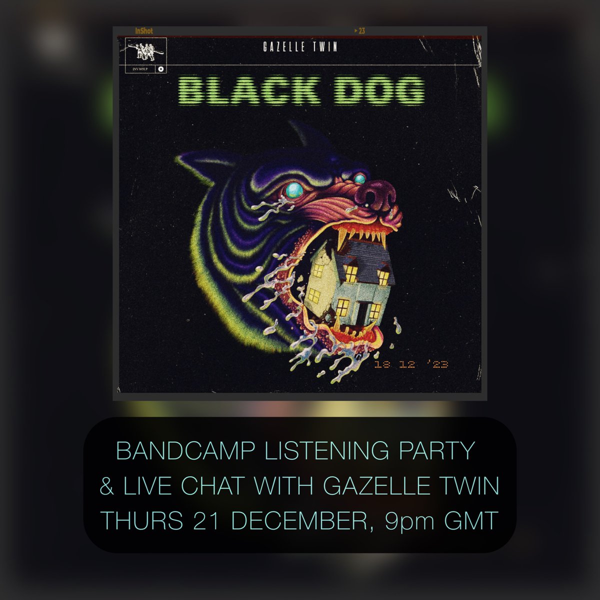 THIS WEEK! Black Dog Listening Party & Live Chat Q&A on @Bandcamp - Thurs 21 Dec 9pm (GMT) I'll share track-by-track notes, making-of nuggets (may include ghost stories). After LP playback I'll do Q&A for 1hr. No LP purchase needed, just RSVP below. gazelletwin.bandcamp.com/merch/gazelle-…