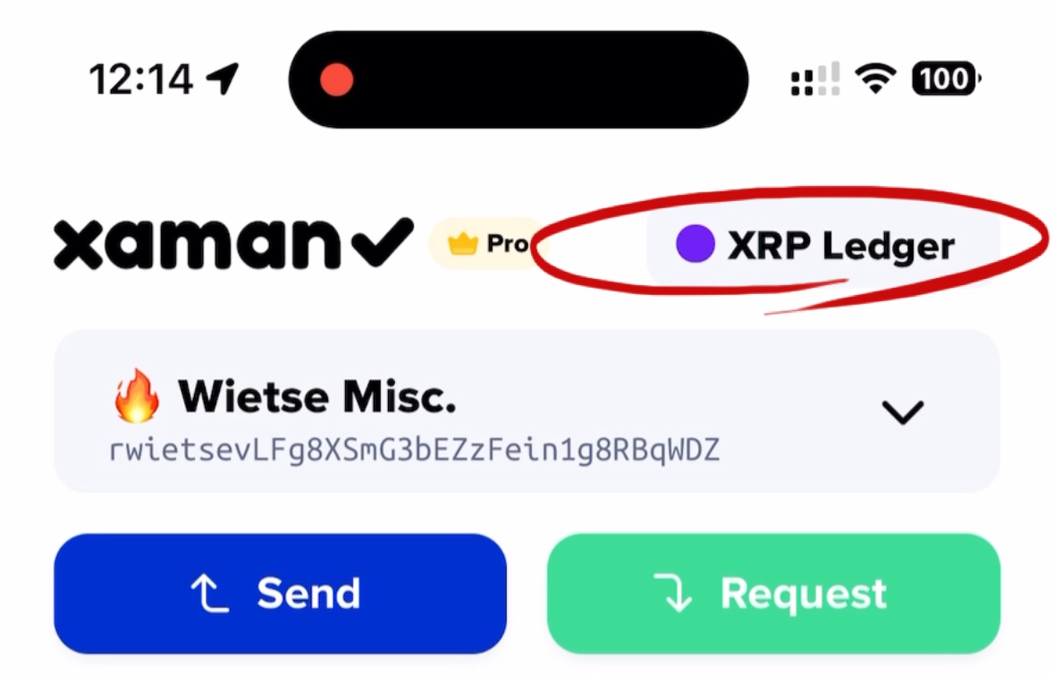 New in Xaman (formerly Xumm) 2.6 is the concept of network switching.

In the upper right corner of the Xaman home screen you'll find the network you're currently on, and by tapping it you can easily switch between networks.

(Demo clip in the next Tweet)