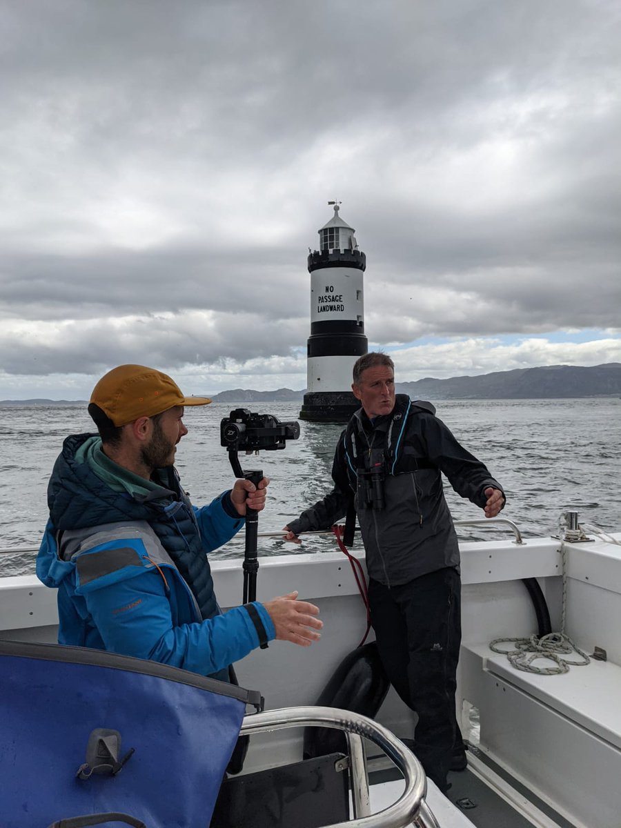 A life behind the lens: in the new edition of Natur Cymru, Osian Griffiths writes about wildlife film-making in Wales with Aden Productions [Welsh language feature]. @ProductionsAden @IoloWilliams2 @INCCymru bit.ly/NaturCymru2024