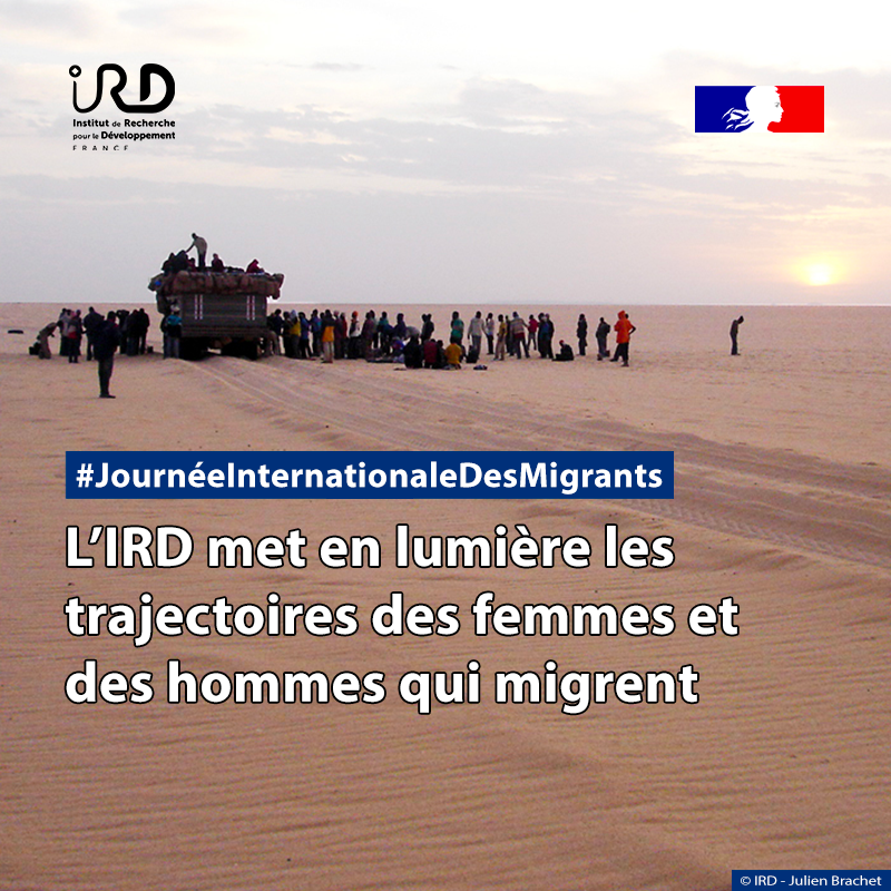 ird_fr's tweet photo. 🔍Comment et pourquoi migre-t-on? Qu’apportent les #migrants aux pays qui les accueillent?

💡Pour la #JournéeInternationaleDesMigrants découvrez les études et productions de l’#IRD &amp; ses partenaires qui dressent leur portrait sans préjugés

▶️https://t.co/ykcigjW6df #MigrantsDay https://t.co/dikJHargV9