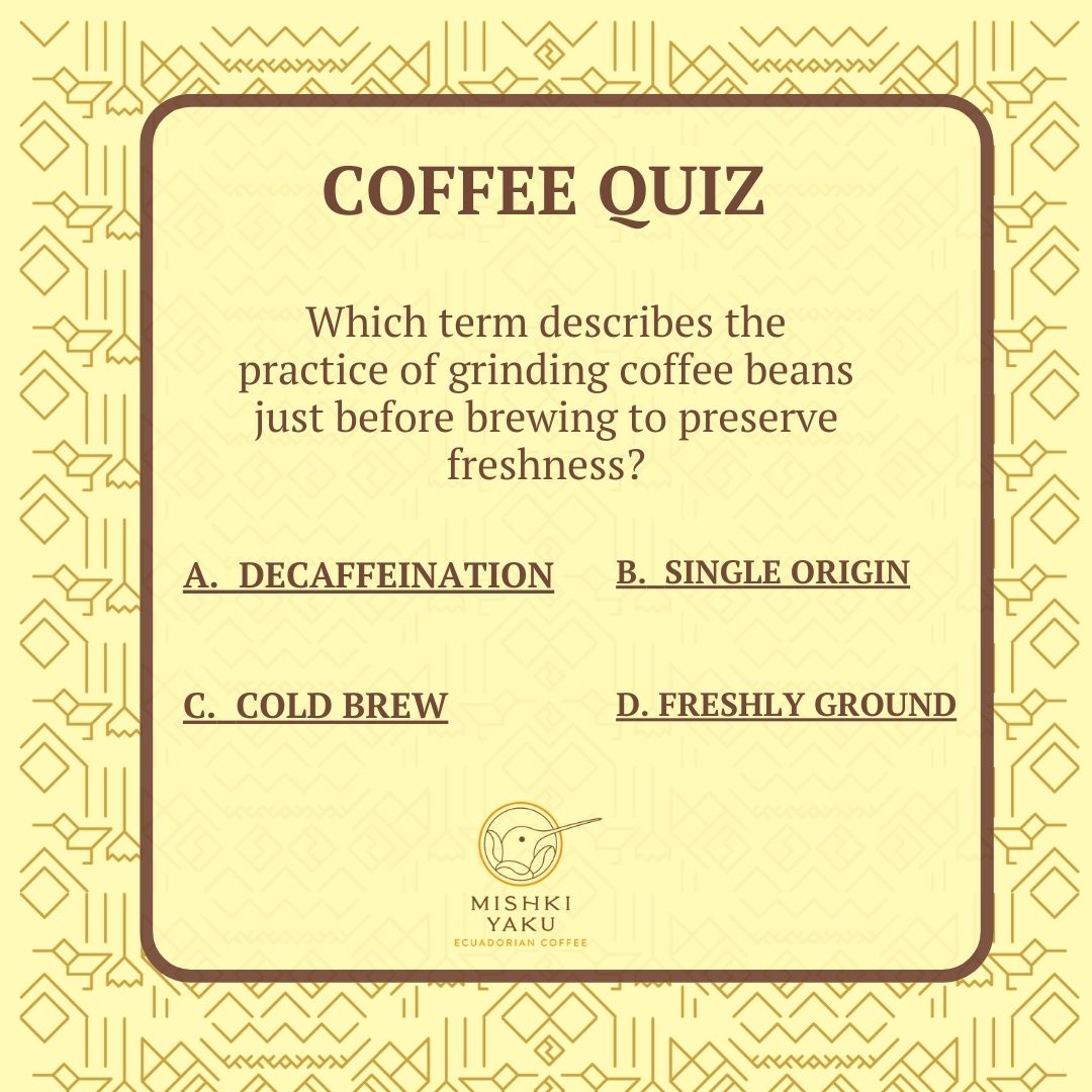 Choose the correct option and comment below with your answer! Let's see how well you know your coffee. ☕️✨

-------
DM us for more details.
.
.
.

#MishkiYakuCoffee #specialtycoffee #coffee #coffeelover #cafe #coffeetime #luxurycoffee #coffeelife #delicious #coffeeforevents