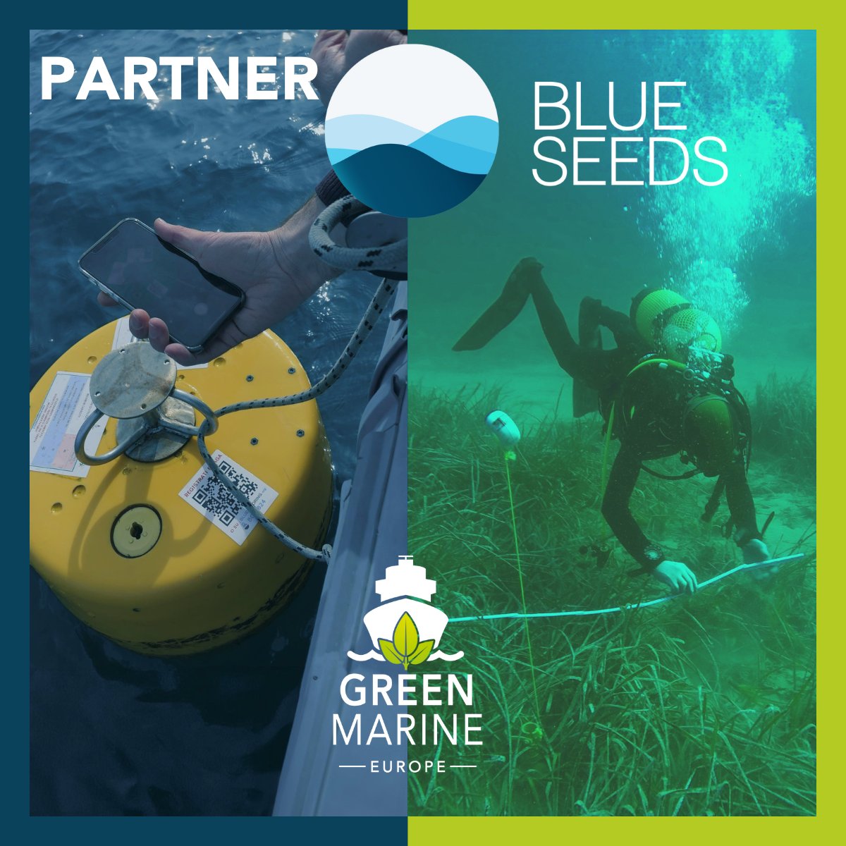 📢@BlueSeedsTeam, new partner of @Green_Marine_Eu! ✅@BlueSeedsTeam supports #marine conservation projects, from protected area managers to coastal communities, with a view to achieving #financial and #managerial autonomy 👉 vu.fr/jipM #bluecarbon #climatechange