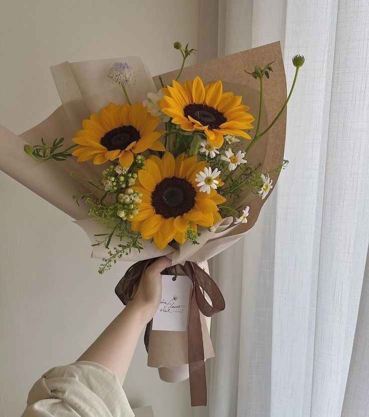 sunflowerchives's tweet photo. Pretty 🌻 https://t.co/C4ABgPCKul