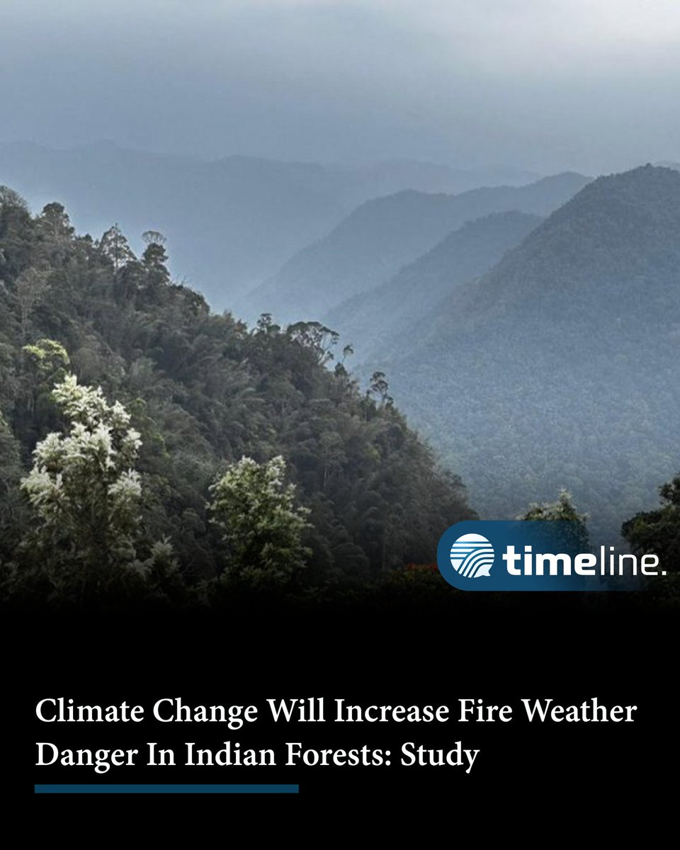 Climate Change Will Increase Fire Weather Danger In Indian Forests: Study

timelinedaily.com/science/climat…

#weather #climate #climatechange #increase #fireweather #danger #indianforests #forest