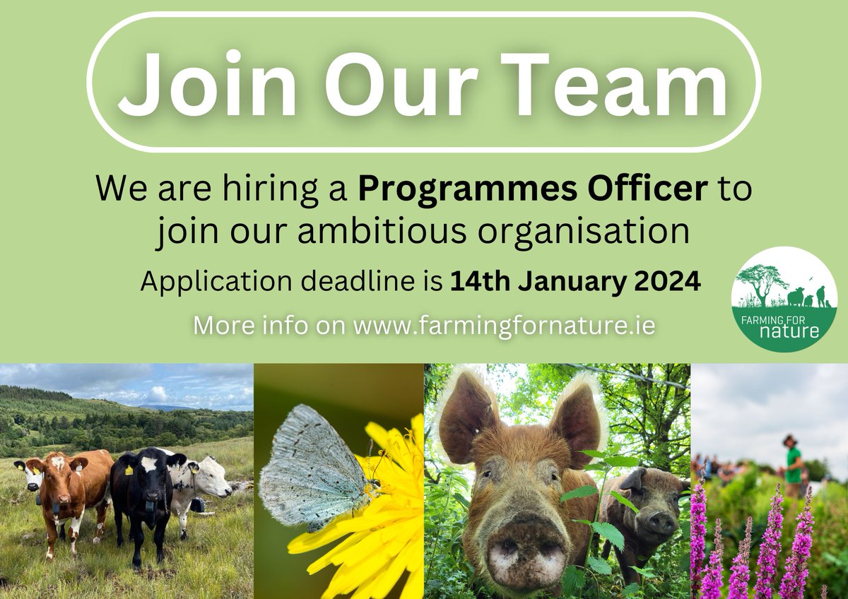 FFN are hiring a Programmes Officer! We are looking for a driven, organised & positive person to join our small but ambitious team! More info & how to apply: bit.ly/FFNJobHire. Application deadline 14th Jan. Pls share far & wide to help us find the right person for the job!