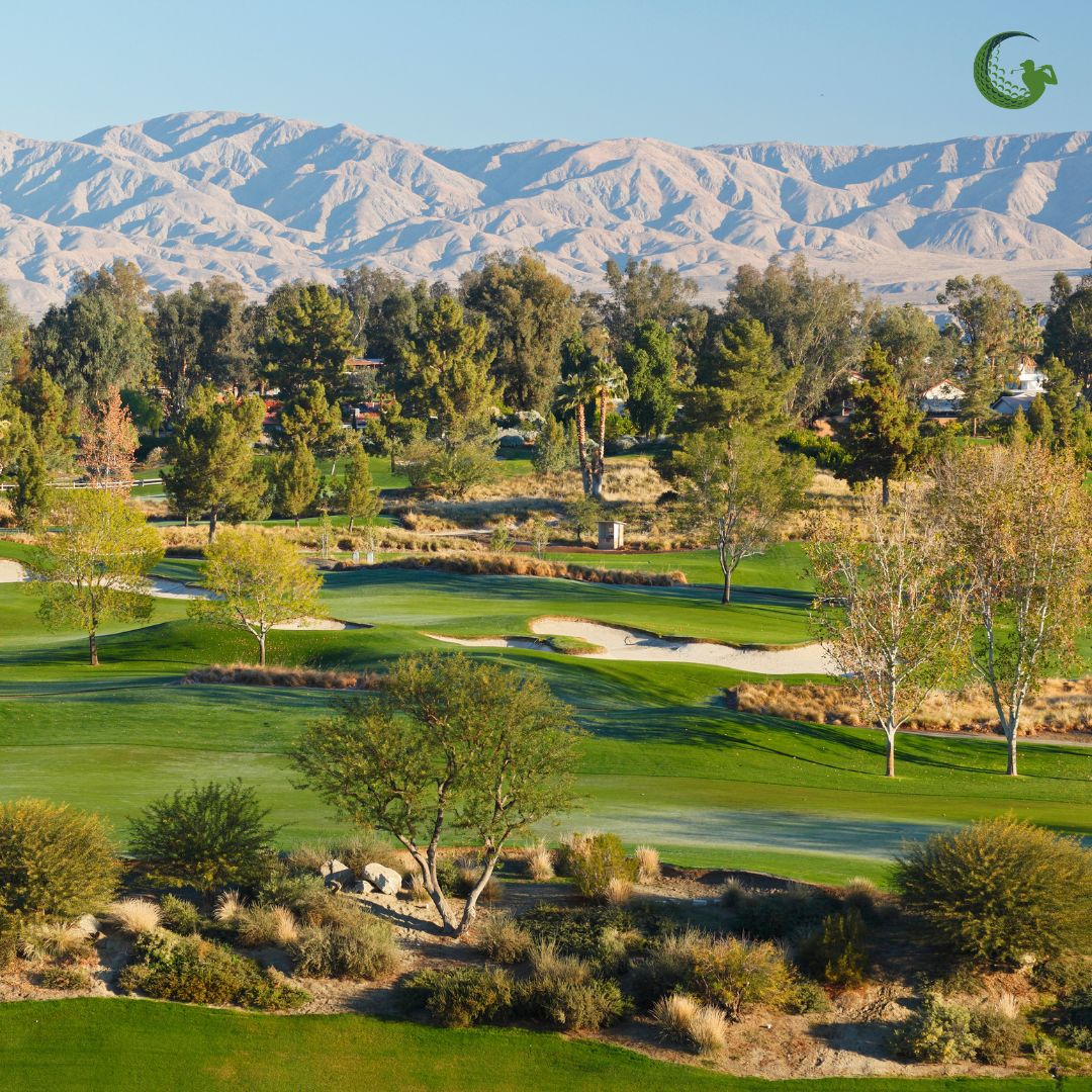 Golf Experiences tweet media