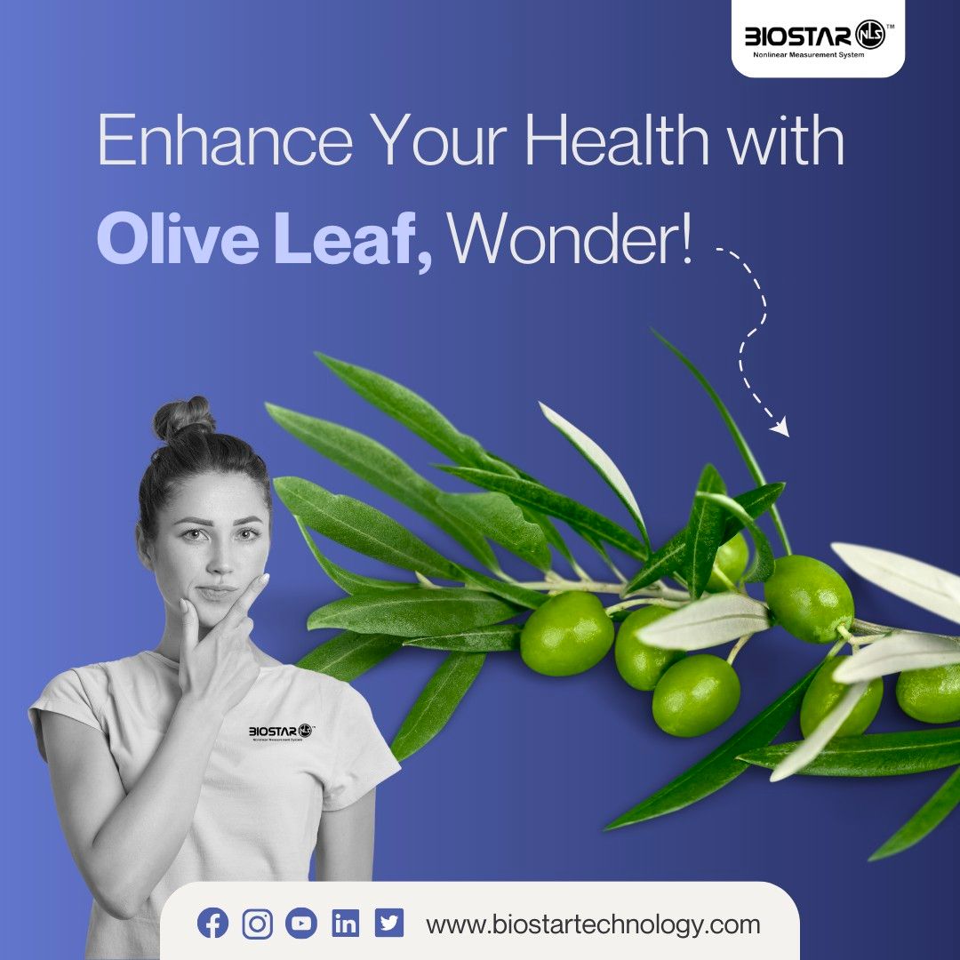 Olive Leaves: Your Natural Health Booster! From battling infections to supporting heart health, olive leaf extract is a supercharged gift from nature. Explore the wonders of this herbal remedy and enhance your well-being. 

  #oliveleaves #wellnesslife #healthandwellness