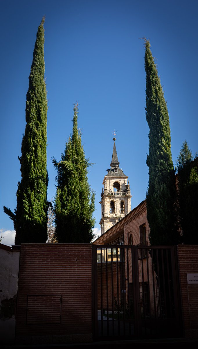 Catedral magistral.#alcaladehenares #fotografia #alcala @AHTurismo @AytoAlcalaH @alcaladehenares