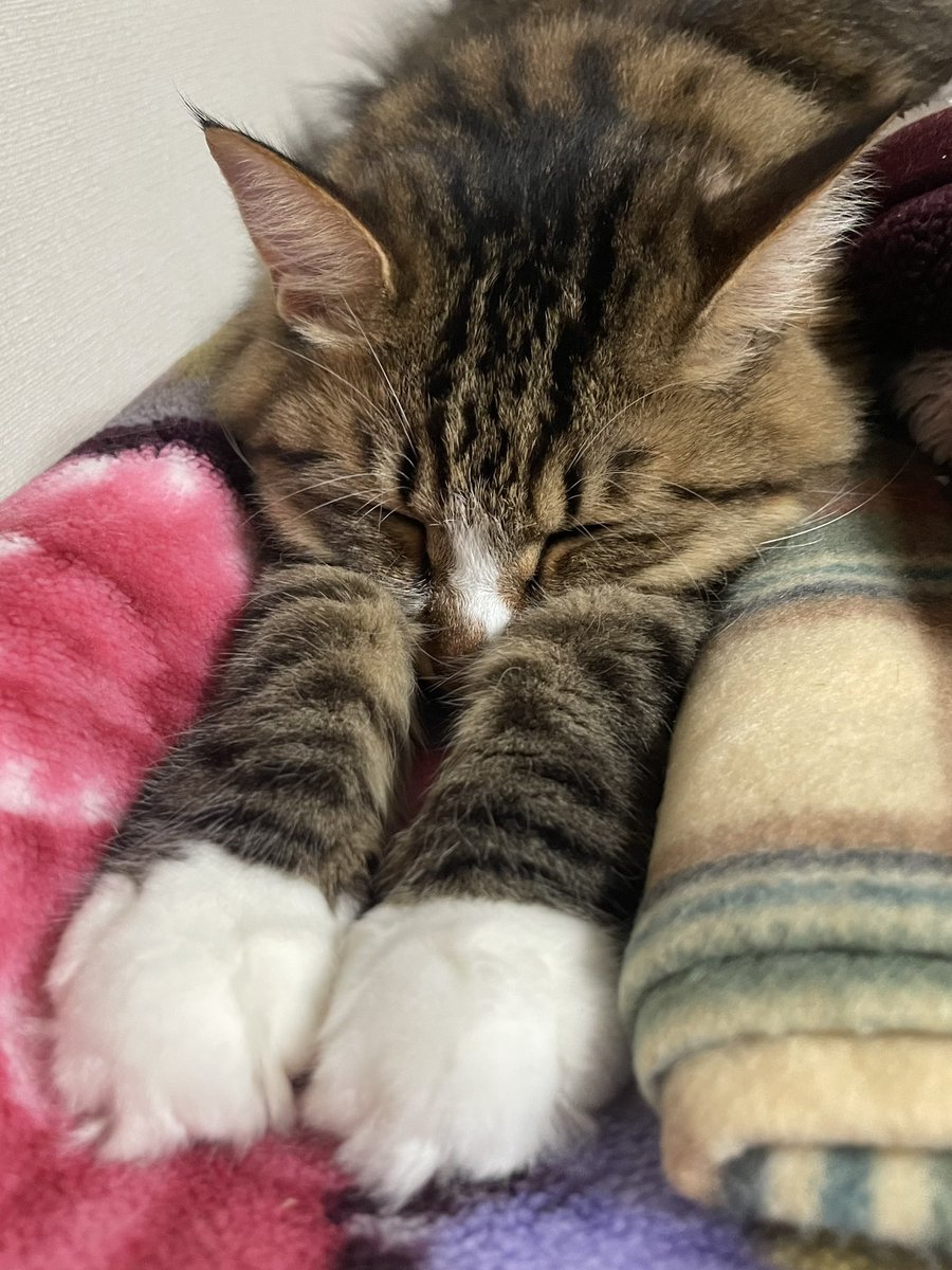 前へーならえっ！！