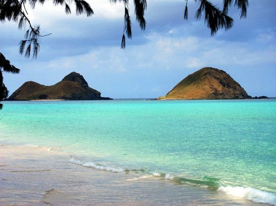 CatEccentric's tweet photo. Bellows Beach sparkles like glitter #waimanalo #bellowsbeach #Hawaii #beach #beachvibes #beautiful #camping #letsgo #getbacktonature https://t.co/vXiiOVkezO