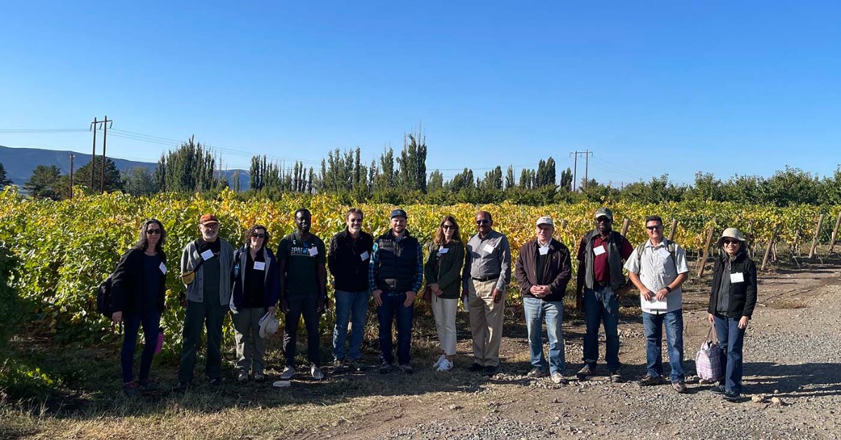 #Grapevine viruses represent a grave threat to the west coast #WineIndustry. To better understand these viruses and improving their management, a National Academies expert committee recently visited vineyards and @WSU_IAREC in Washington. Learn more: ow.ly/vc8F50Qjhvl