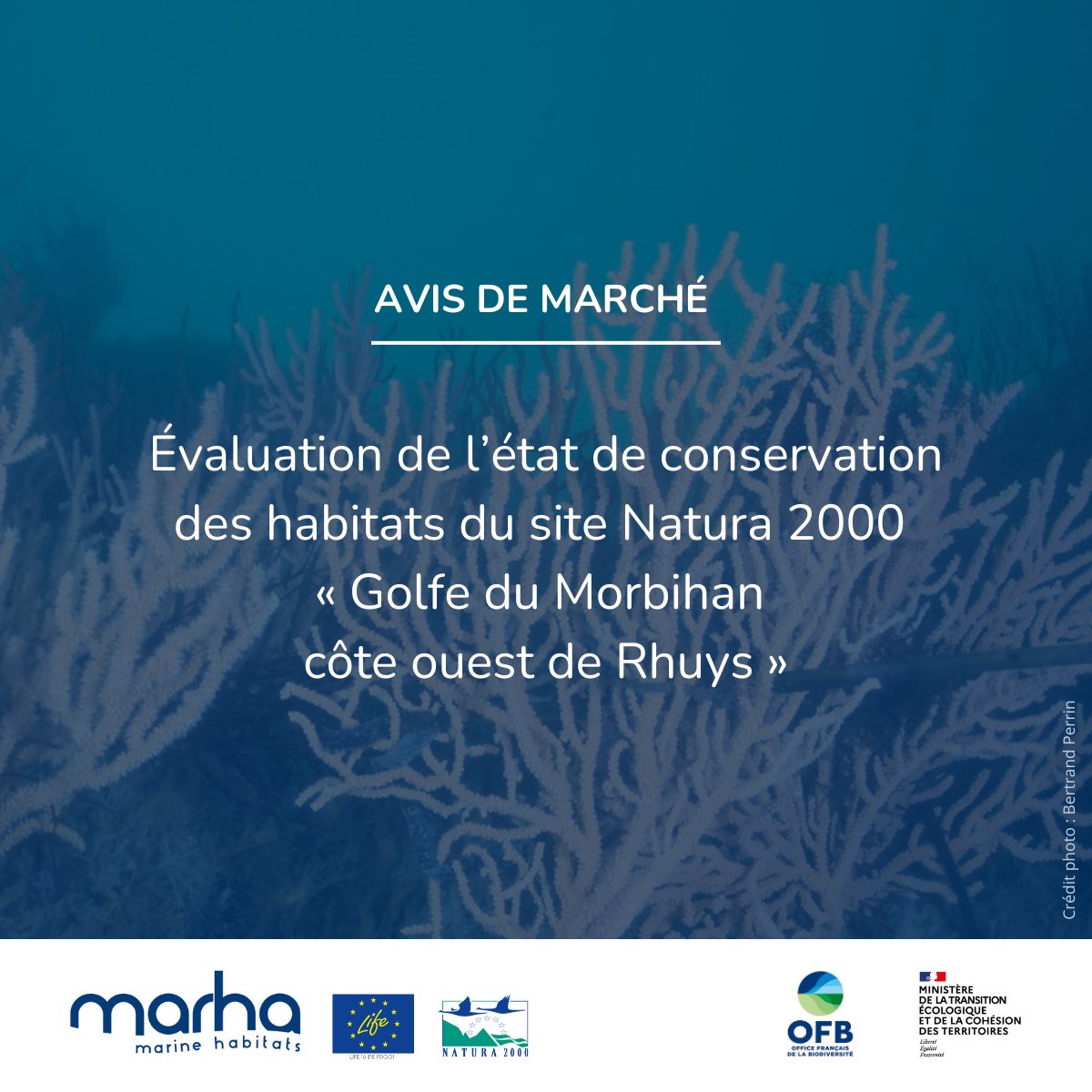Dans le cadre de l’action D1 du @LIFEprogramme #Marha, un marché est en cours de publication pour l’évaluation de l’état de conservation des habitats du site Natura 2000 « Golfe du Morbihan côte ouest de Rhuys 🗓 Candidatures ouvertes jusqu’au 11/01/2024 👉marches-publics.gouv.fr/app.php/entrep…