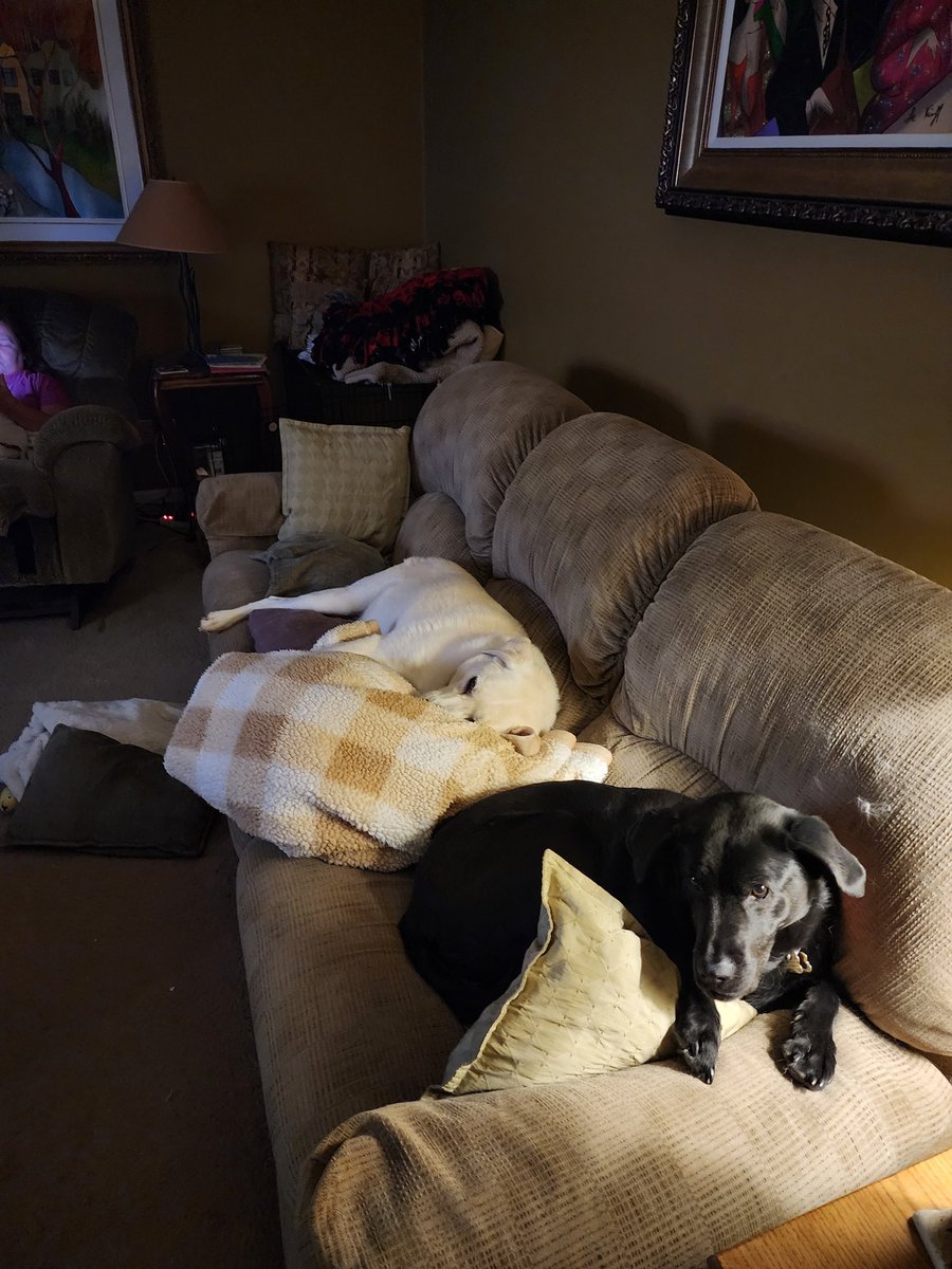 It's their home to. We run the house. <a href="/thenine/">thenine</a>, @fox2Detroit