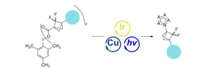 Check out our most recent preprint: Decarboxylative C N coupling of 2,2-difluorobicyclo[1.1.1]pentane (BCP-F2) building blocks on @ChemRxiv!
It was a privilege to work with my colleague Joanna and summer intern @bryceg0_ #MerckChemistry #BCP #photoredox
 go.shr.lc/3tjsj4j