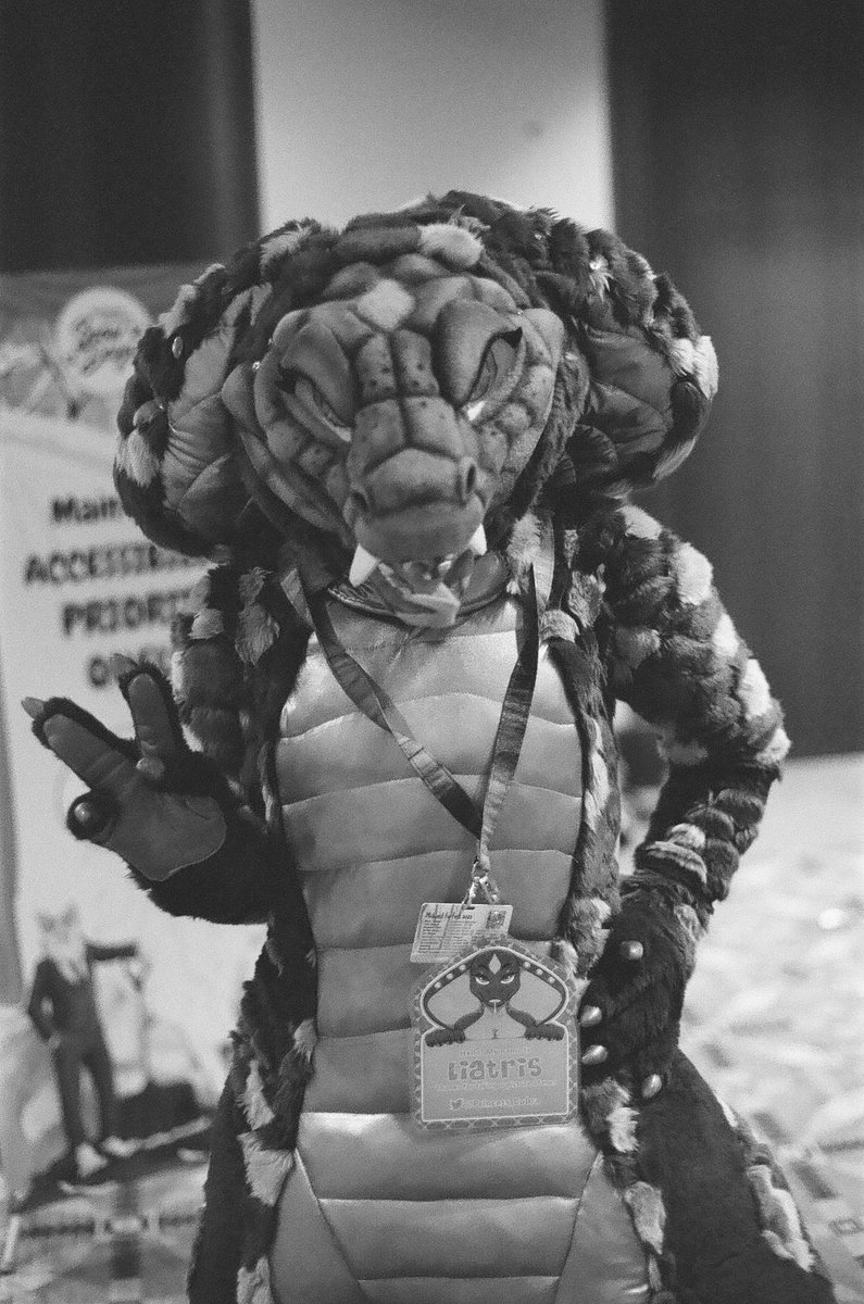 This cobra is irre-hiss-table! <a href="/princess_cobra/">Liatrisssss</a> #MFF2023