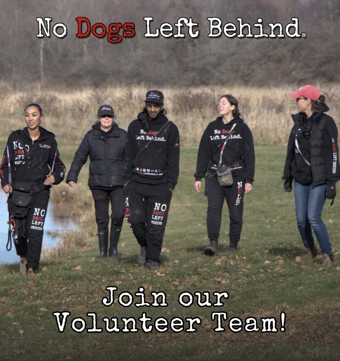 Join our volunteer team in 2024! Make a difference in the lives of our survivors! Remote volunteering available with our adoption and social media teams! 

Click link in bio or visit bit.ly/NDLB_Volunteer… to complete an application. 

#volunteersneeded #volunteer #mustlovedogs
