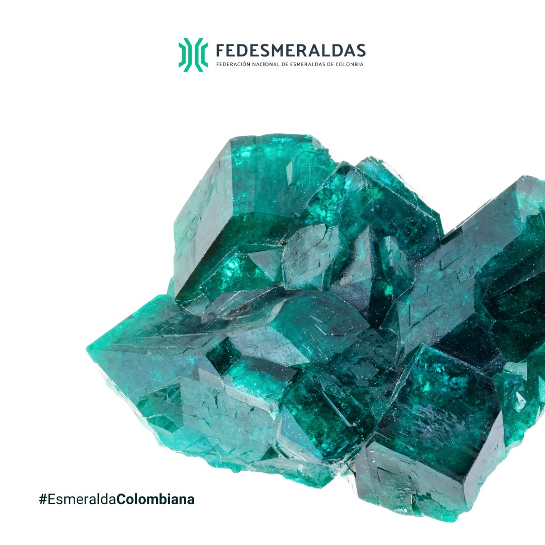 #DatoHistórico de las esmeraldas colombianas: Extraídas desde tiempos precolombinos, talladas por indígenas atraídos por su verde vibrante, en el siglo XX, con técnicas de tallado de #diamantes, transformaron estas gemas en obras de arte únicas. 💚✨ #EsmeraldasColombianas